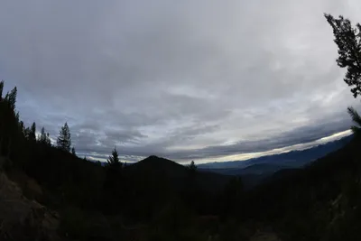 DSC_0081 (Large).JPG